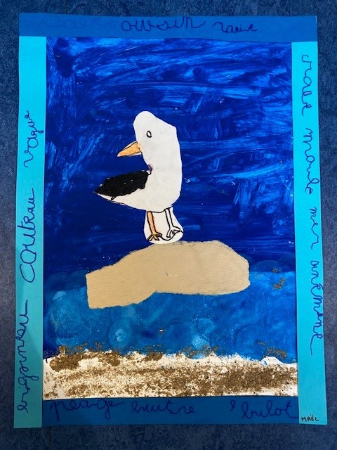 mouette