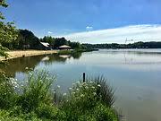 Etang de Buhel