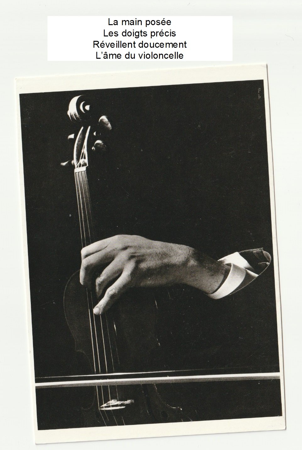 Photo violoncelle portail