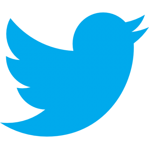 Twitter icon icons.com 66803