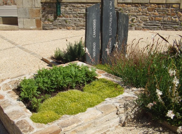 RenacJardin